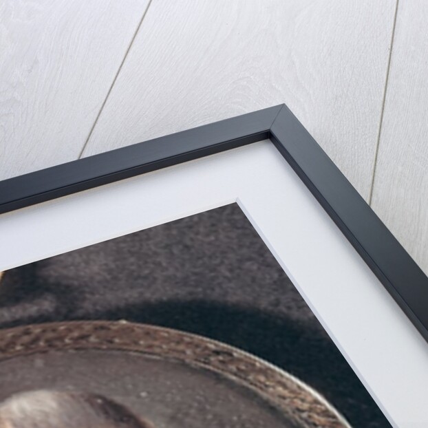 Portrait of Jean-Marie Collot d'Herbois by French School