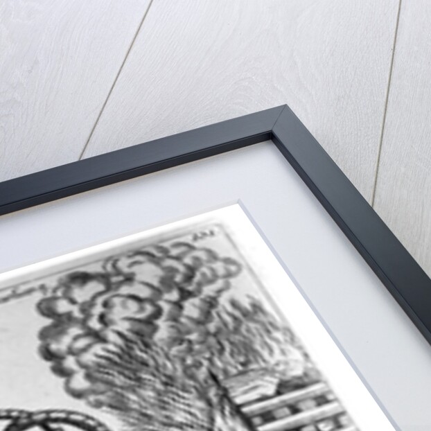 The insatiable animal of the National Assembly by German School