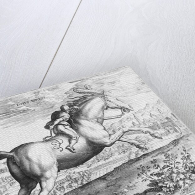 Equus Maurus by Jan van der Straet