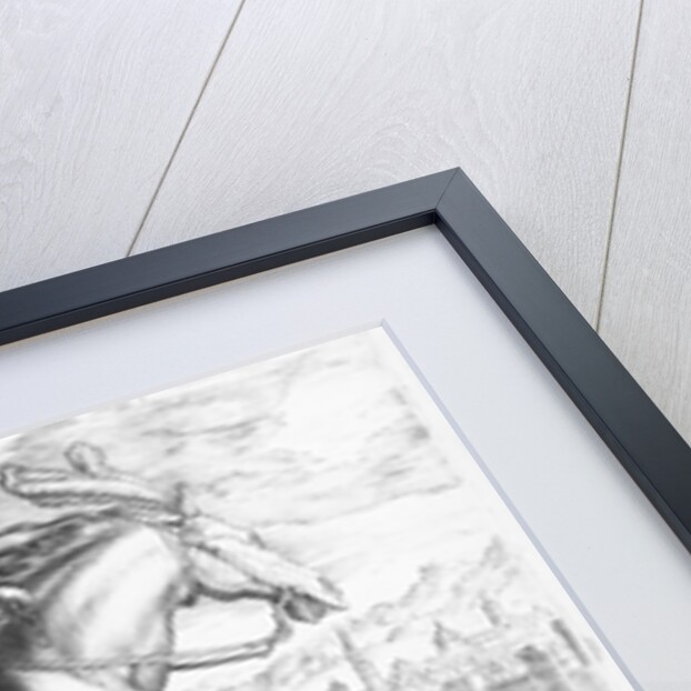 Equus Maurus by Jan van der Straet