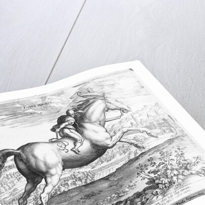 Equus Maurus by Jan van der Straet