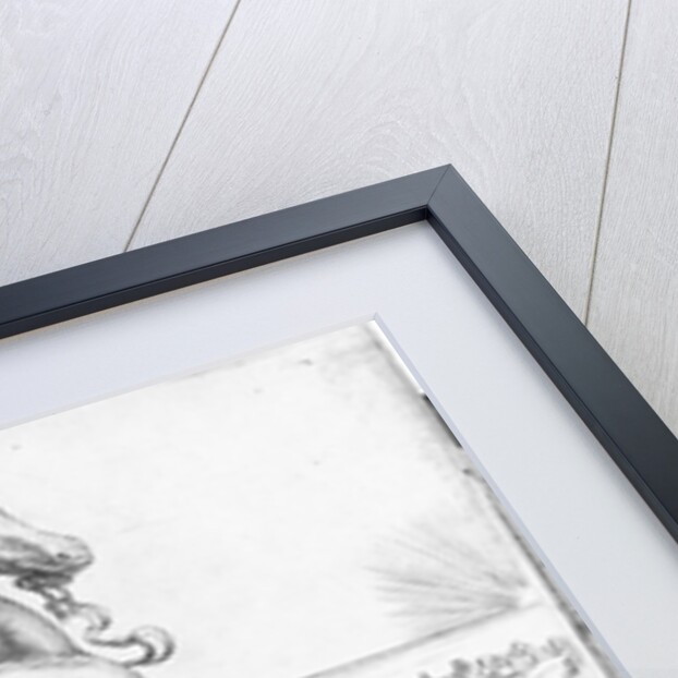 Equus Hispanus by Jan van der (1523-1605) (after) Straet