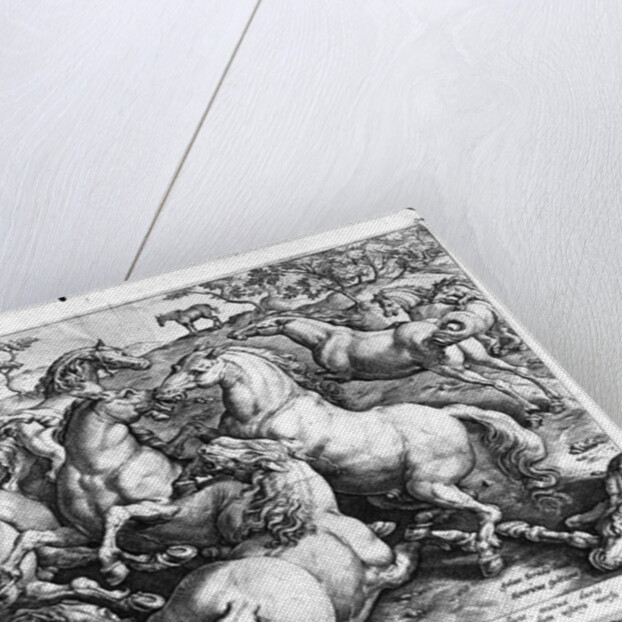 Horses in the wild by Jan van der (1523-1605) (after) Straet
