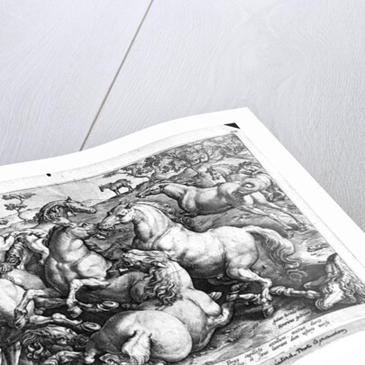 Horses in the wild by Jan van der (1523-1605) (after) Straet
