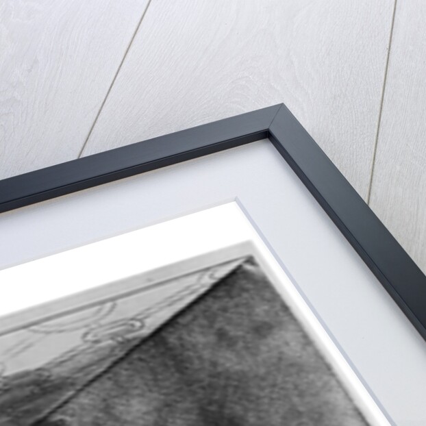 The Romer Hall at Frankfurt-am-Main by German School