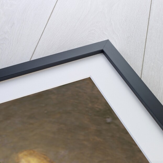 Study for Members of the Public at the Exhibition of 'The Consecration of the Emperor Napoleon' by Louis Leopold Boilly