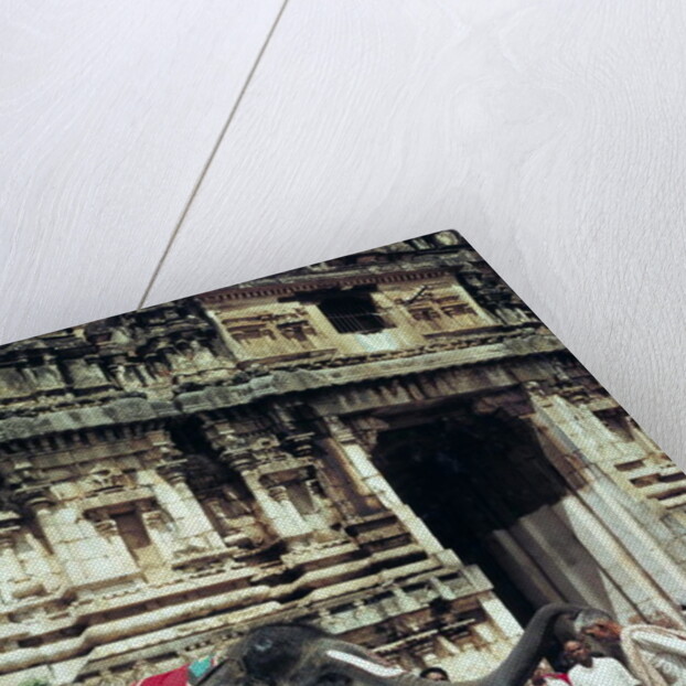 A man being blessed by an elephant at Varadarajaswamy Temple by Anonymous