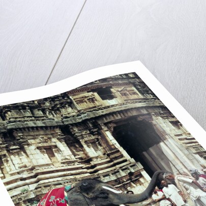 A man being blessed by an elephant at Varadarajaswamy Temple by Anonymous