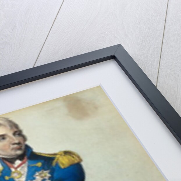 Admiral Horatio Nelson by English School