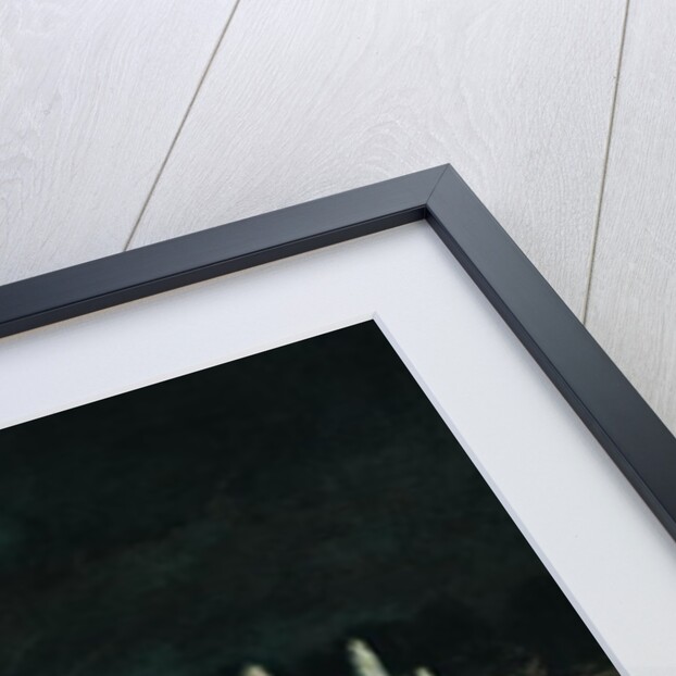 Illuminated Fountain Display in the Bassin de Neptune in Honour of Prince Francisco de Assisi de Bourbon 21st August 1864 by Eugene-Louis Lami