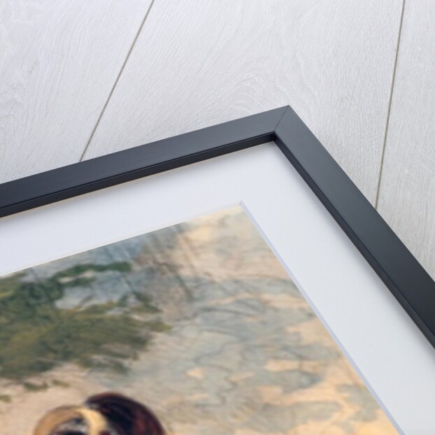 The Regular Visitor to Ranelagh Gardens by Alfred Andre Geniole