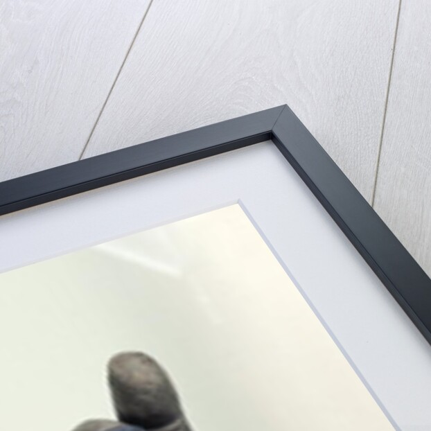 Hand from a colossal statue of Shiva, from Koh Ker, Kompong Thom Province by Cambodian School