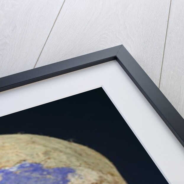 Mounted head representing death, from Vanuatu, 11th-19th century by Oceanic Oceanic