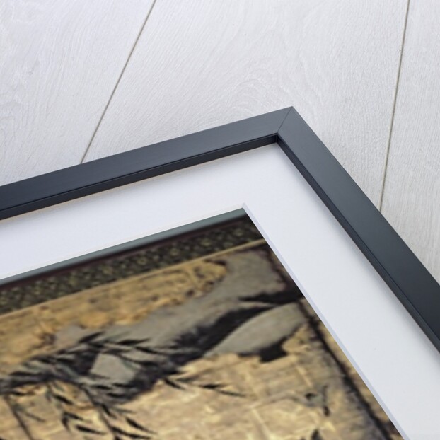 Birds and Flowers of the Four Seasons by Kano Soshu