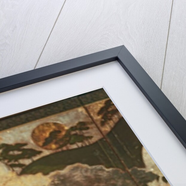 Sunny Landscape by School Japanese