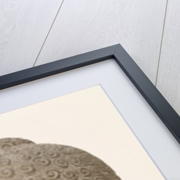 Head of Buddha by Cambodian Cambodian