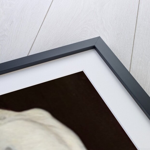 A Boy with a Cat, 1868 by Pierre Auguste Renoir