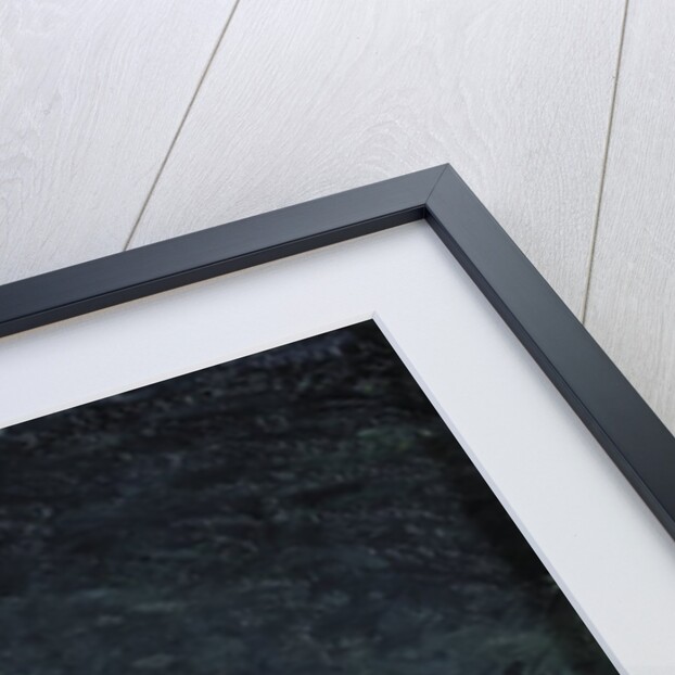 Vague VII, 1900-01 by August Johan Strindberg