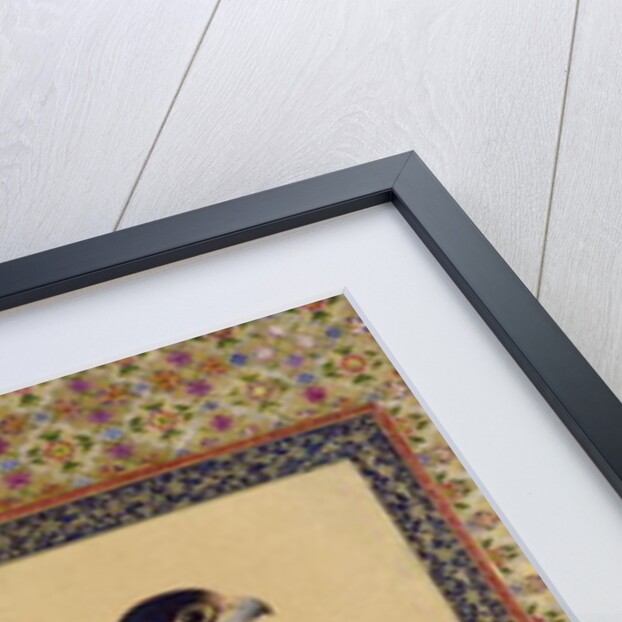 Ms E-14 Falcon, from a Moraqqa by Islamic School