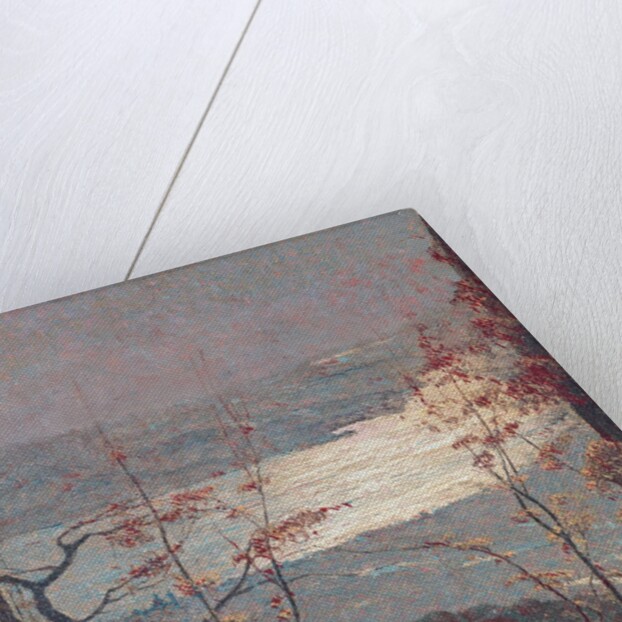 Morning, 1897 by Vittore Grubicy de Dragon