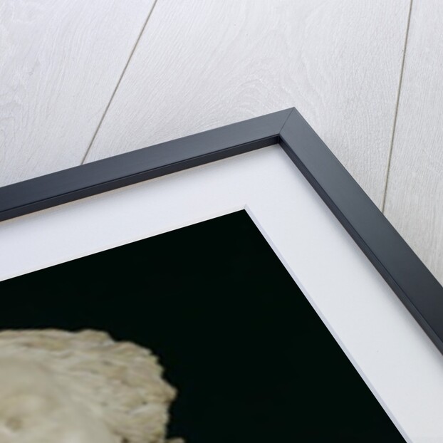 Bust of Madame Sabatier, 1847 by Jean Baptiste Auguste Clesinger