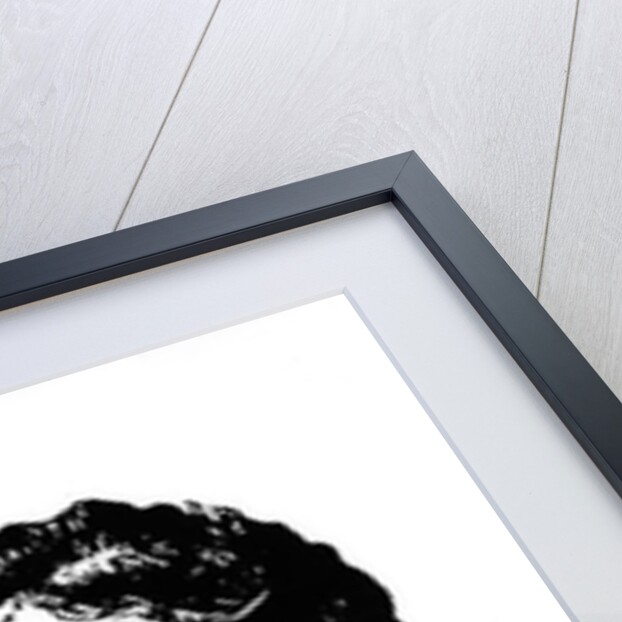 Portrait of Arthur Rimbaud made after a drawing by Isabelle Rimbaud after 1891 by Paterne Berrichon