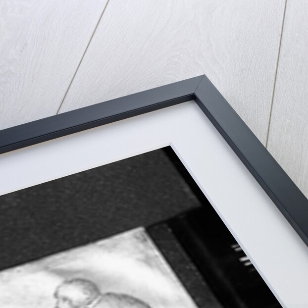 Monkeys by Antonio Pisanello