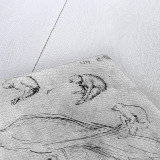 Peacock and Six Monkeys by Antonio Pisanello