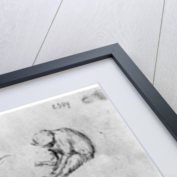 Peacock and Six Monkeys by Antonio Pisanello