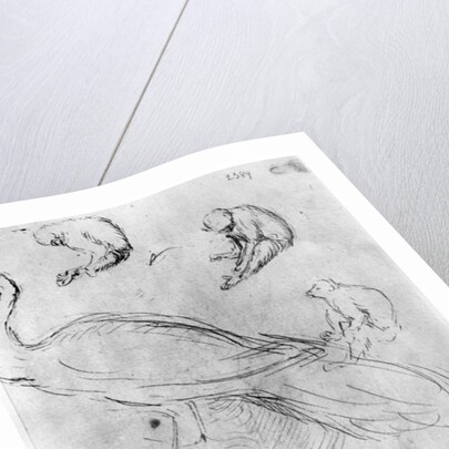 Peacock and Six Monkeys by Antonio Pisanello