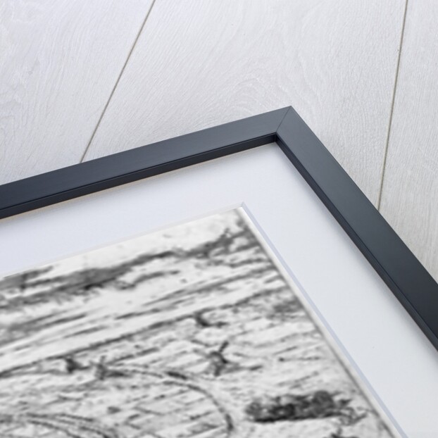 Protestants meeting in the open around Antwerp, 1576 by Flemish School