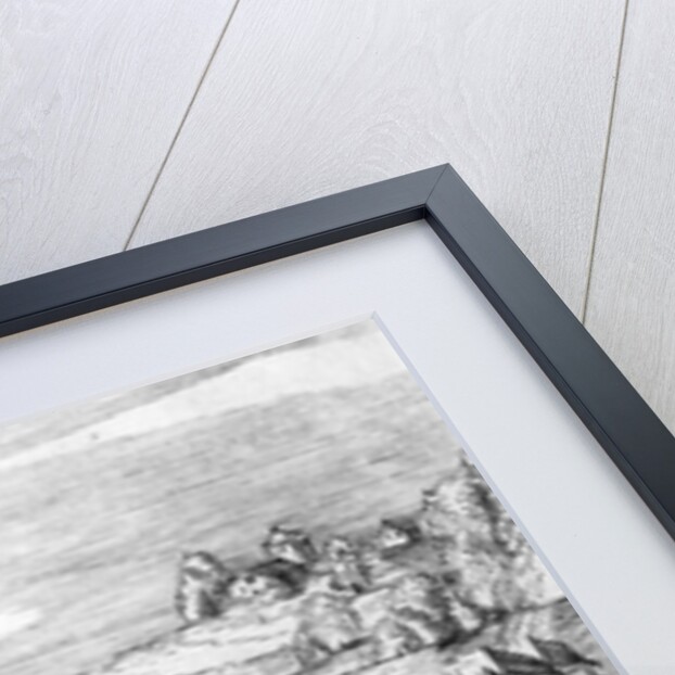 General view of the battle of Muhlberg, detail, 24th April 1547 by German School