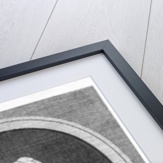 Portrait of Benedetto Marcello by French School