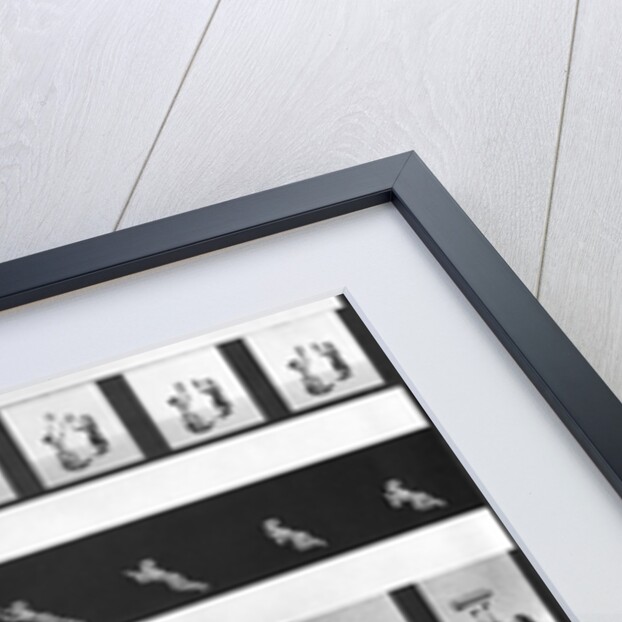 Picture strips for a praxinoscope, late 19th century by French School