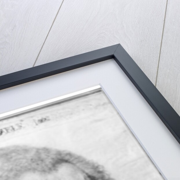 Portrait of Magdeleine de Souvre Marquise de Sable, 1621 by or Dumoustier Daniel Dumonstier