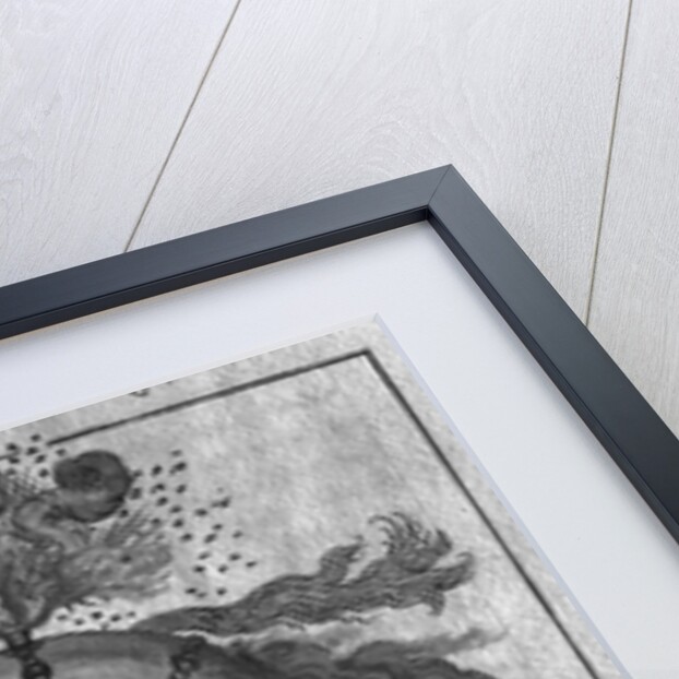 Cannonball by German School