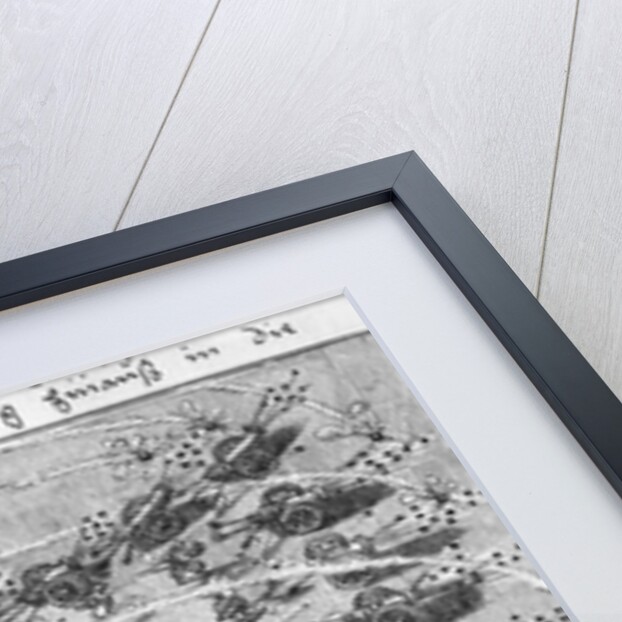 Tactical Use of Artillery: Curved Firing by German School