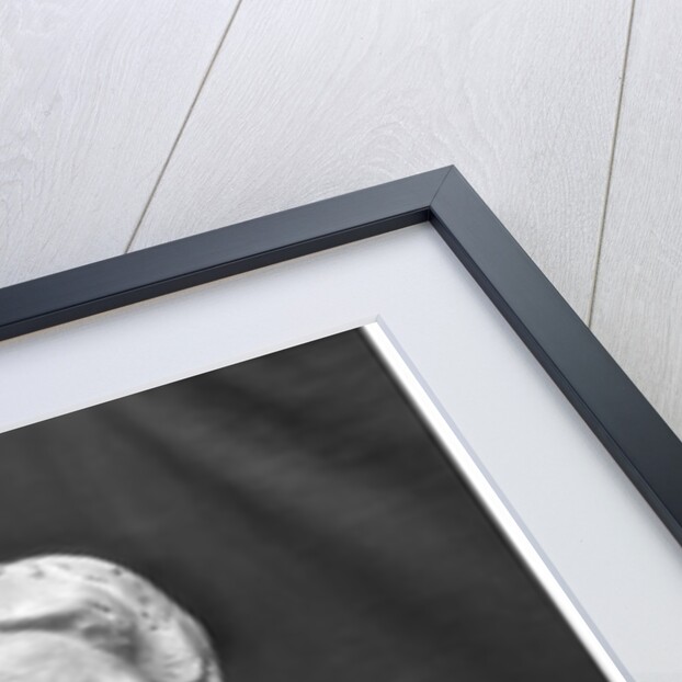 Bust of Madame Marie Laurent by Aime Jules Dalou