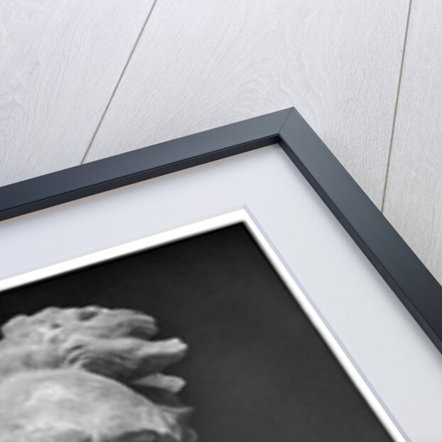 Bust of Henri Rochefort by Aime Jules Dalou