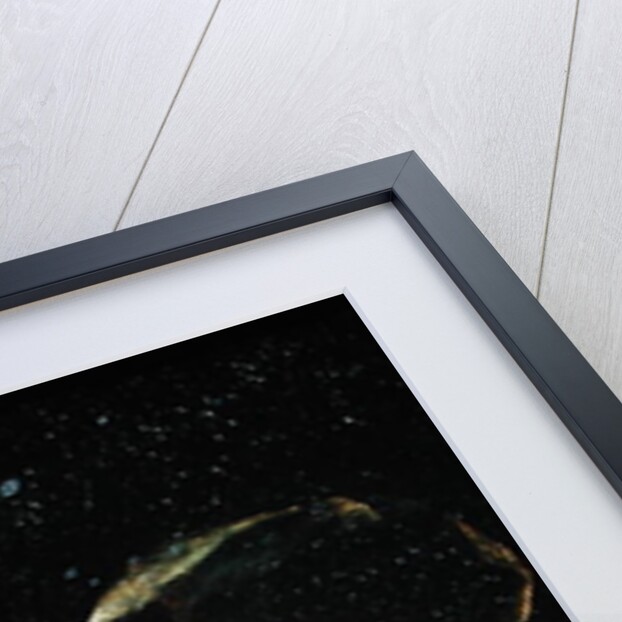 A Woman Laughing by Jan van de Venne