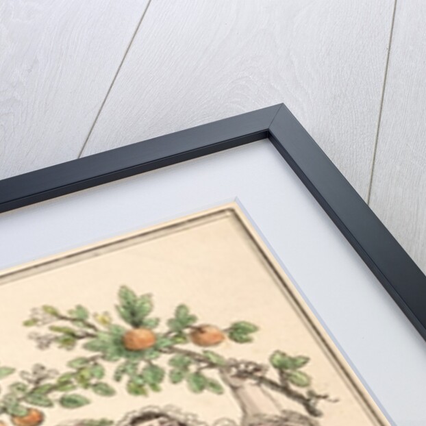 Vive le Roi, Vive la Nation by French School