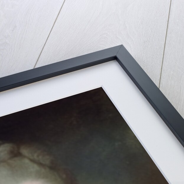 A Princess from the House of Bourbon by French School