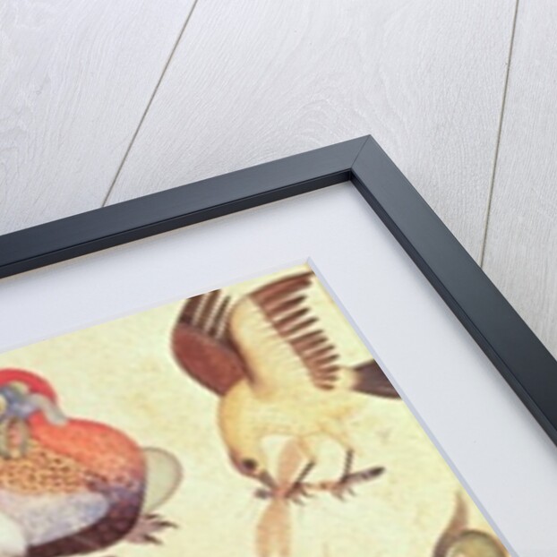 Ten Birds by Indian School