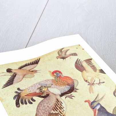 Ten Birds by Indian School