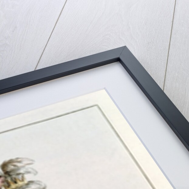 Mademoiselle Dumesnil in the role of Athalie in 'Athalie' by Jean Racine from 'Costumes et Annales des Grands Theatres de Paris' by French School