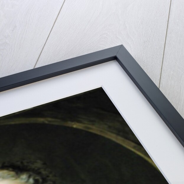 Portrait presumed to be Louise-Elisabeth de La Chastre, Marquise de Dreux-Breze, 1749 by Jean-Marc Nattier