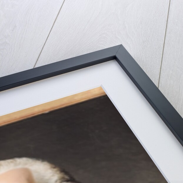 Portrait of Dazincourt 1792 by Francois Andre Vincent