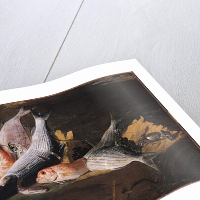 Fish and Crab by Giuseppe Recco