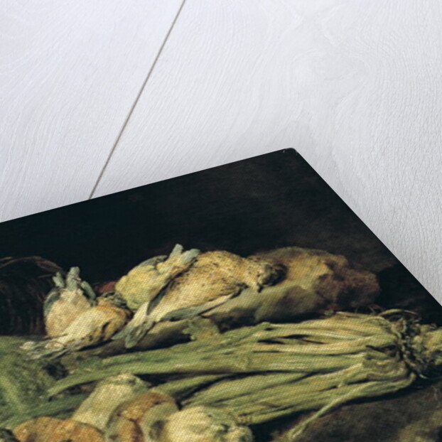 Still Life with Mushrooms by Jan Fyt