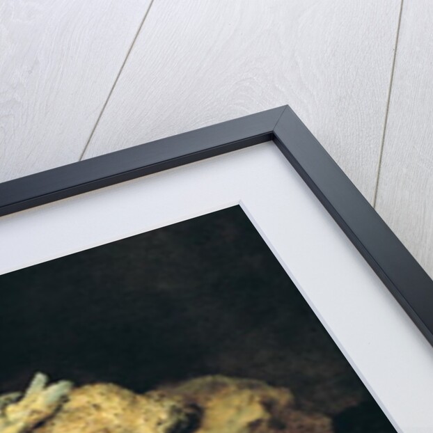 Still Life with Mushrooms by Jan Fyt